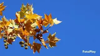 Ancora Autunno!