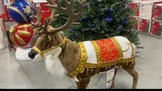 Animated Reindeer at Home Depot 🦌