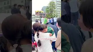 Hear the Powerful Baby Cries at Crying Sumo! 👶🏻😭