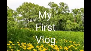 Viral l viral l My first vlog l first_blog l my_first_vlog lmy first vlog viral video l viral 🙏🙏🇮🇳🇮🇳