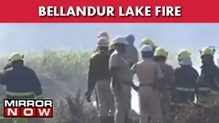 Bellandur Lake Fire: Lake Of Bengaluru Dying A Slow Death? | The News