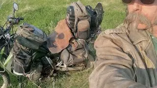 Motorcycle Wild eatible foraging