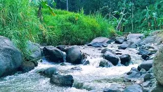 Natural River Flow for Restful Sleep
