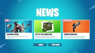 Fortnite pro