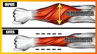 10 BEST FOREARM EXERCISES FOR BIGGER ARMS | WORKOUT