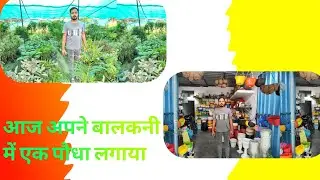 AAJ EK पौधा लगाया|| #RizwanMustafa #Rmblogs #4thvlog