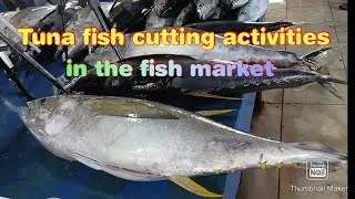 Tuna Fish Cutting Activities in the fish market @ganiwakang