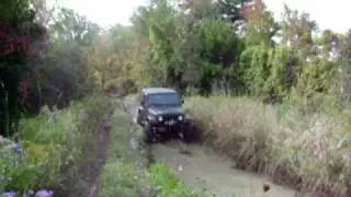 Milton Trails
