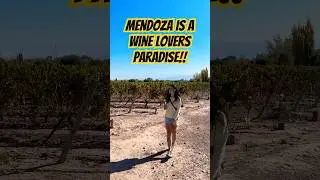 Touring the MENDOZA Wine Region (Maipu) in ARGENTINA by Bike! #argentina #mendoza #argentinatravel