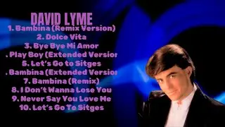 David Lyme-Hit songs playlist for 2024-Bestselling Hits Mix-Attention-grabbing