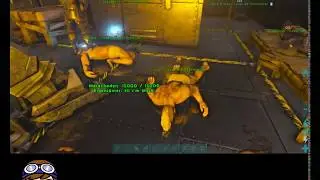 Ark Mega-Raid