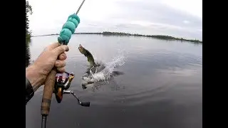 Madawaska River - PIKE DESTROYED MY HOOK!