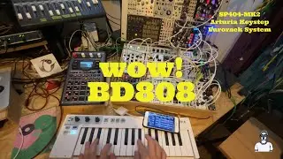 wow! BD808 / Modularsynth /Ambient Techno / chill/ SP404 MK2 /Tiptop Audio BD808 モジュラーシンセ