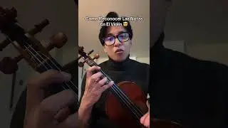 #violin #aprendeviolin #mauriciopallo