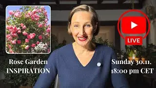 Rose Garden Magic & Inspiration - Live Chat 🌹