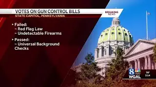 Gun control bills face mixed results at state capitol