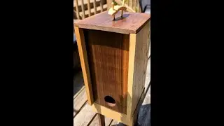 Wine Bota Box Dispenser