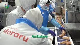 ABATOR Fermele Moraru