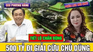 MỚI NHẤT: Bà Hằng mang 500 tỷ đi 'cứu' ông Dũng 
