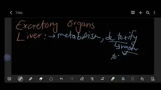 Excretion in Vertebrates &ndash; Kidneys, Nephrons, and Excretory System