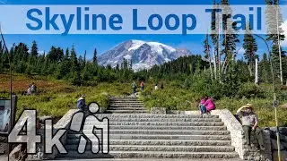 Skyline Trail Loop @ Mt. Rainier - Binaural 4k60 #VirtualHike