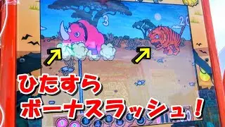 【メダルゲーム】ジャングルハンティングでひたすらボーナスラッシュ！