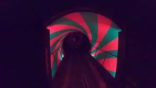 My 10 Favorite Rides At Waldameer 2021