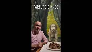 La stagione 2019/20 del tartufo bianco. The 2019/20 season of the white truffle.