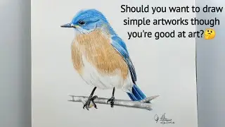 Drawing a realistic bird | ' Draw and talk ' - procrastination and more