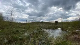 Powiat parczewski. Czarny Las i Jezioro Obradowskie | Weekendowe wyjazdy #3