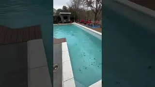 Before and after extra dirty pool cleaning!! #outdoorpool #entrepreneur #swimpool