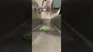 How to wash one handed.