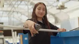 PUSD Pathways - Academy of Emerging Agricultural Technology (EAT)