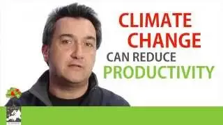 Miguel A. Zavala - Tree Diversity Supporting Forest Adaptation under Climate Change