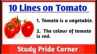 10 Lines on Tomato🍅 in English | Few Lines on Tomato | StudyPrideCorner