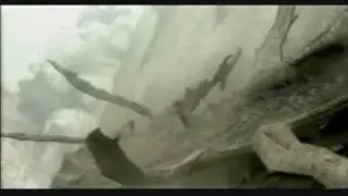 Shadow of the Colossus: The Epic Tribute