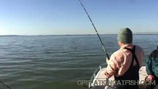 Operation Catfish How-To's: Netting techniques to safely handle your fish and net
