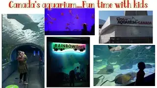 Ripley's Aquarium of Canada, Toronto @4behnain4khaniya  @CanadaCoupleVlogs