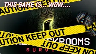 The Backrooms: Survival is... just ok.