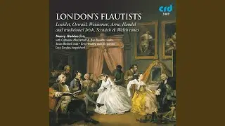 Trio Sonata No. 4 in D, Op. 3: Andante