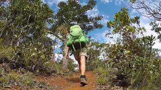 Forest Trek in New Caledonia