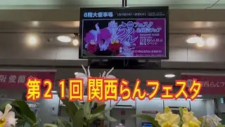 Ｖlog#303 第２１回 関西らんフェスタ
