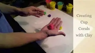 Creating Clay Cup Corals