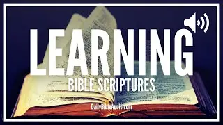 Bible Verses About Learning |  Best Scriptures To Help In The Pursuit Of Knowledge and Learning