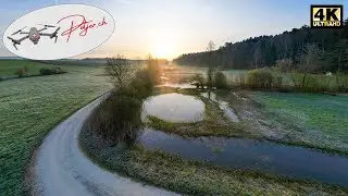 Heutiger Fotoausflug im L&auml;ngmoos in Grossaffoltern Berner Seeland / Schweiz