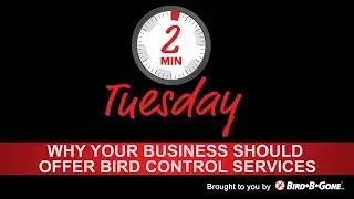 Why your Business Should Offer Bird Control Services