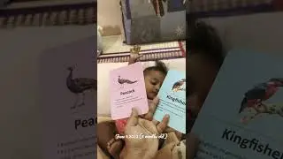 Woooowww 6 months baby can identify flash card ! Easy to teach ! 15 days of practice!!!