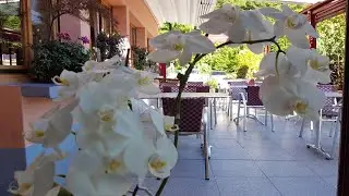Le Rhien Carrer H&ocirc;tel-Restaurant, Ronchamp, France