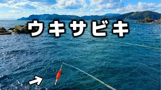 『サビキ釣り』エサの小魚がたくさん釣れたので泳がせてイカを狙ってみるが・・・