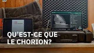 Q'est-ce que le Chorion du pied du cheval?
